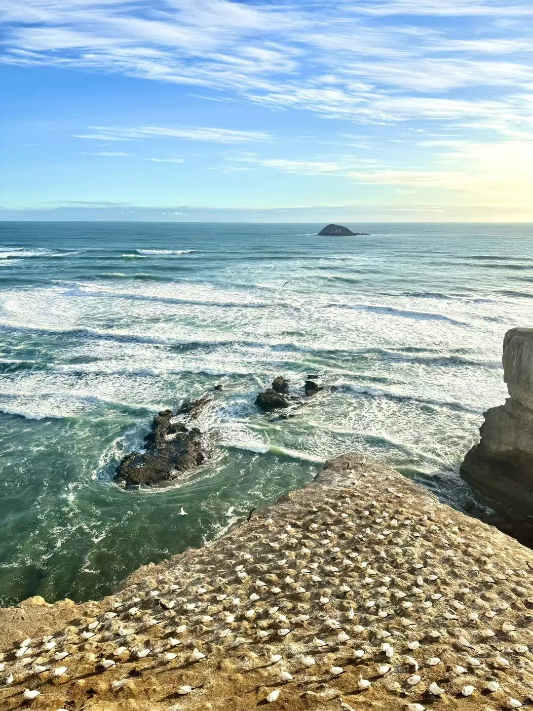 为了小程序的用户我练成了ios开发