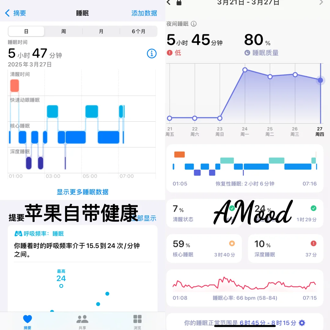 apple watch 女大实测好用app推荐