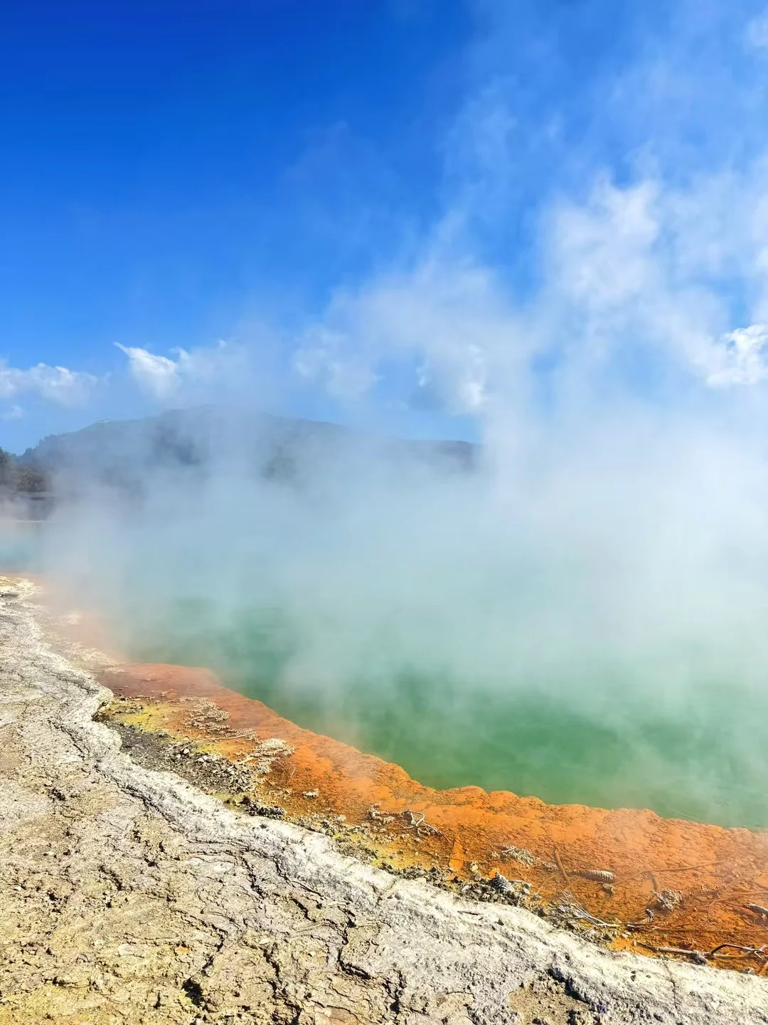为了小程序的用户我练成了ios开发