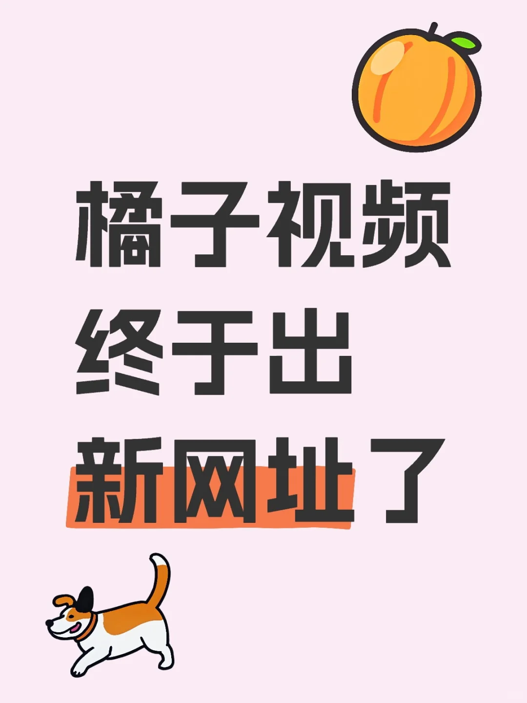 橘子🍊苹果版更好用哦