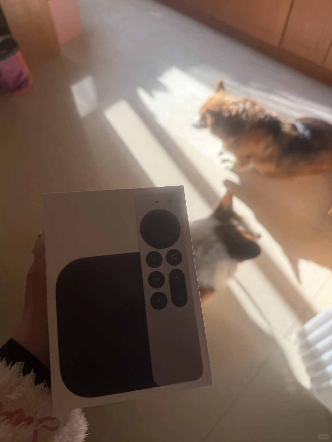 Apple TV 在家轻松实现奈飞自由