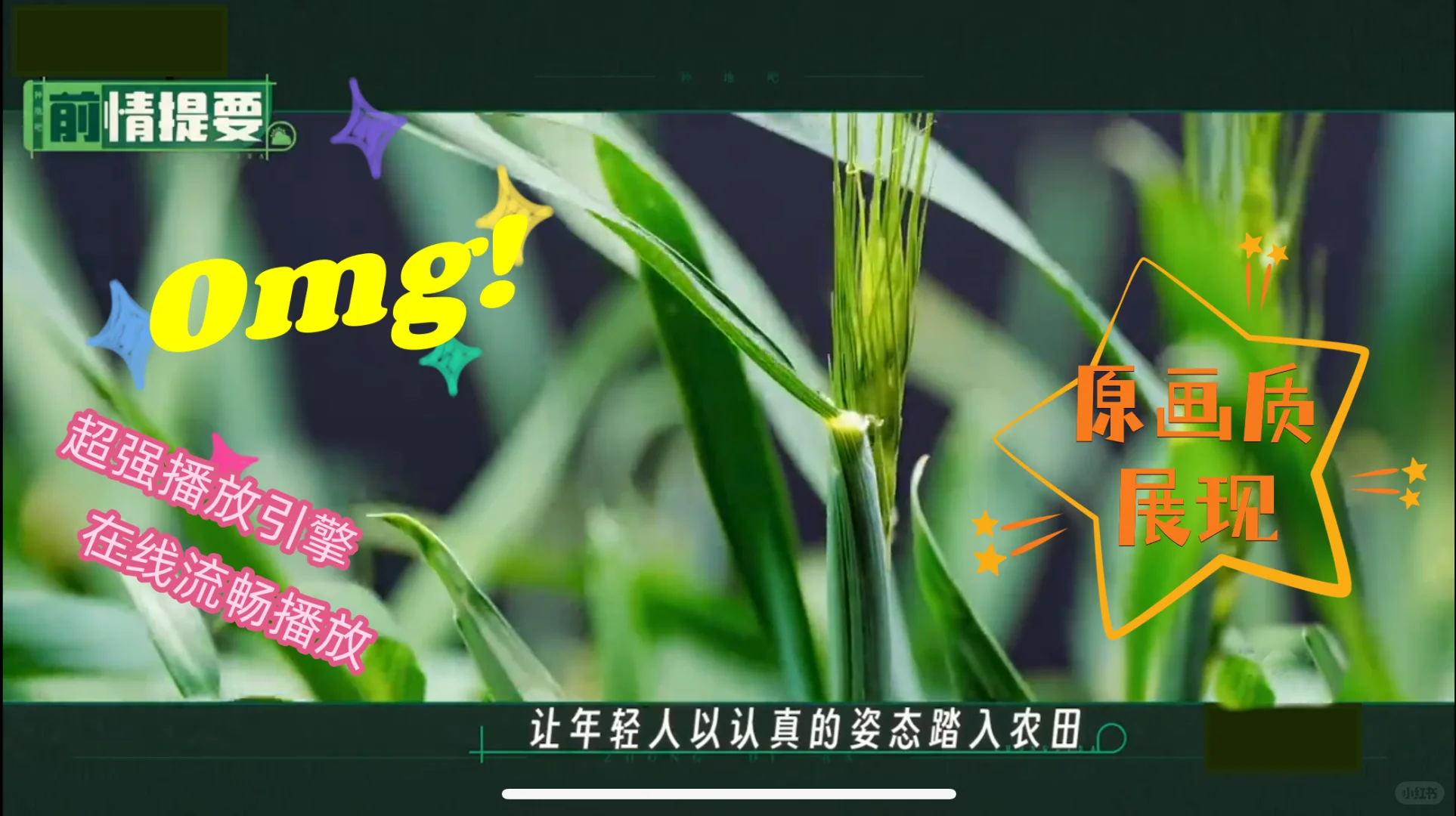 支持云盘在线播放的安卓电视应用被我找到啦