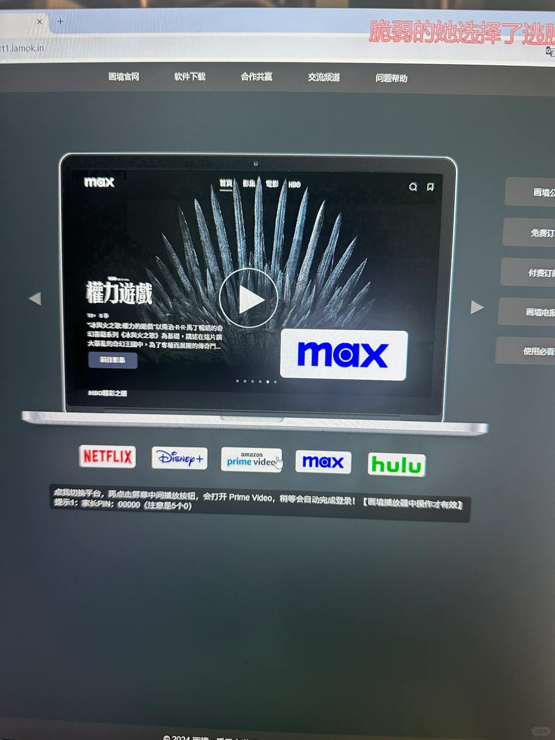 pc上超级好用的流媒体软件-画境