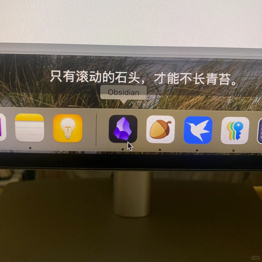 开始用obsidian，那我以前浪费的青春算什么