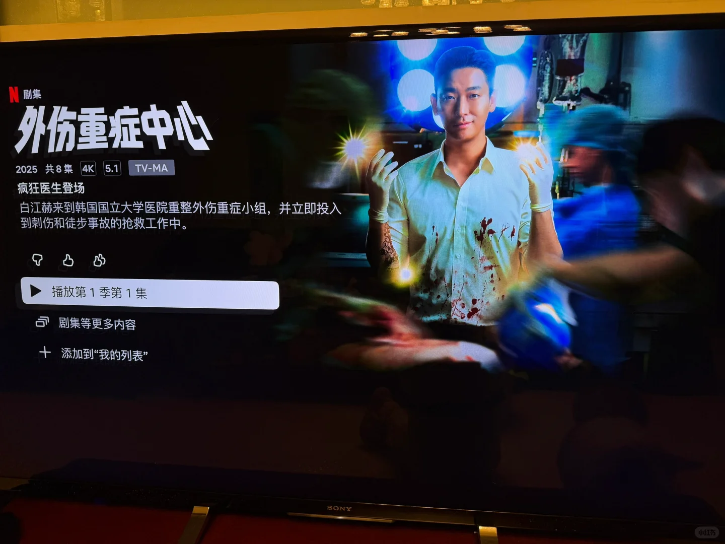 Apple TV 在家轻松实现奈飞自由