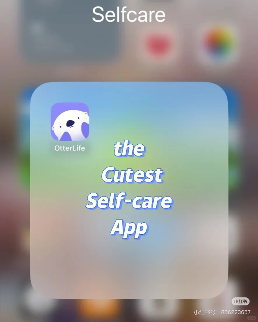 纯 App 分享篇- otter life