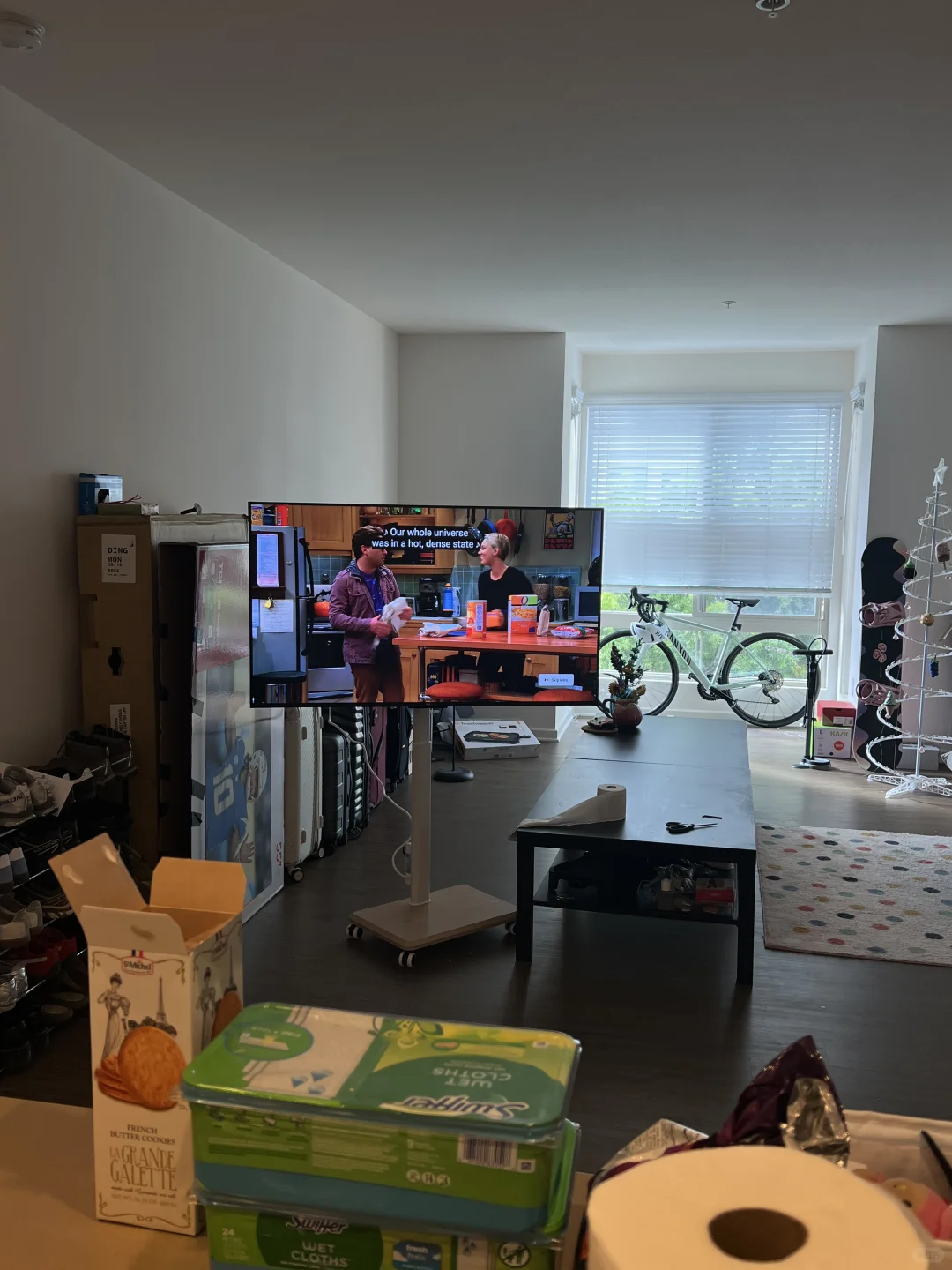 当留子有了电视之后..📺