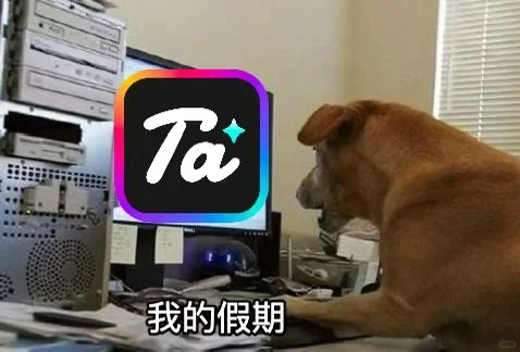 AI聊天也太智能啦！聊到停不下来