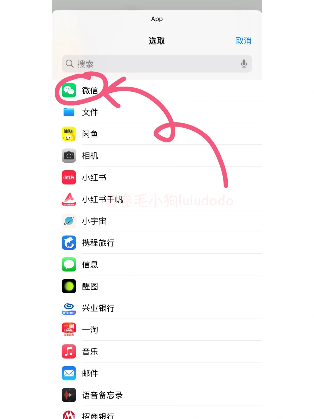 可爱版app图标来咯～卷毛小狗iPhone更换教程