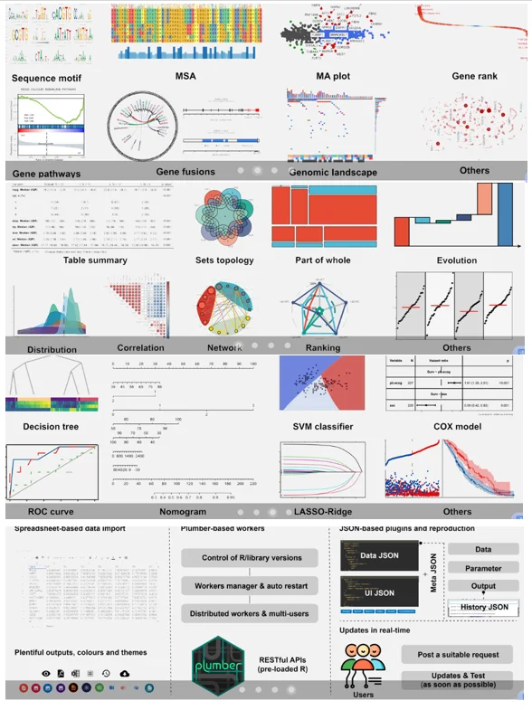 ‼️可视化作图工具～YYDS