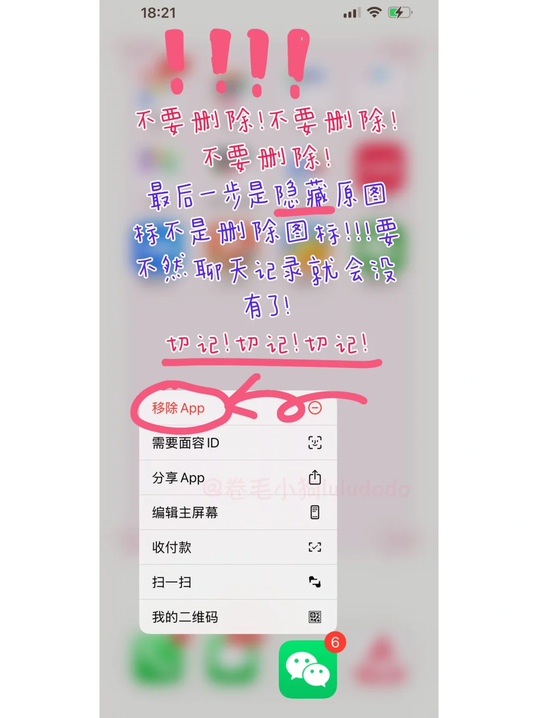 可爱版app图标来咯～卷毛小狗iPhone更换教程