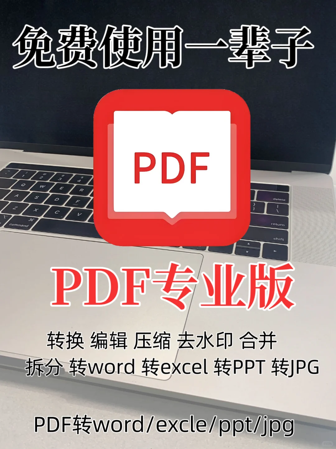 PDF转word格式，神级软件