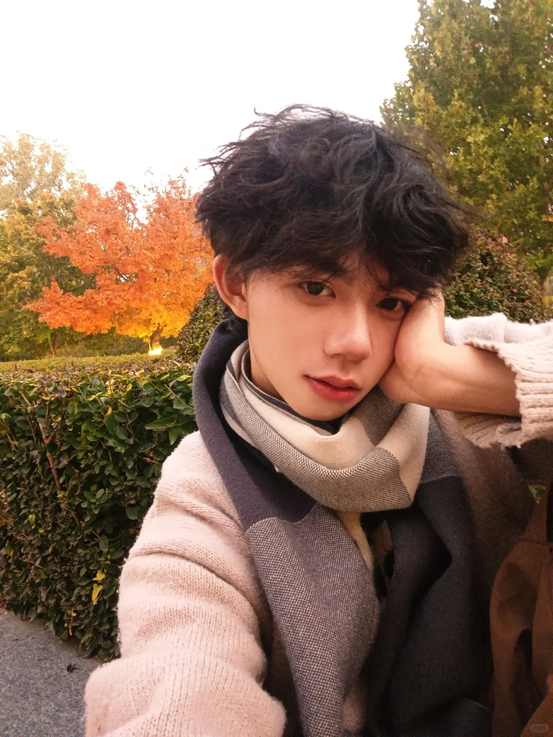 简单的手机软件，也能拍出不一样的效果