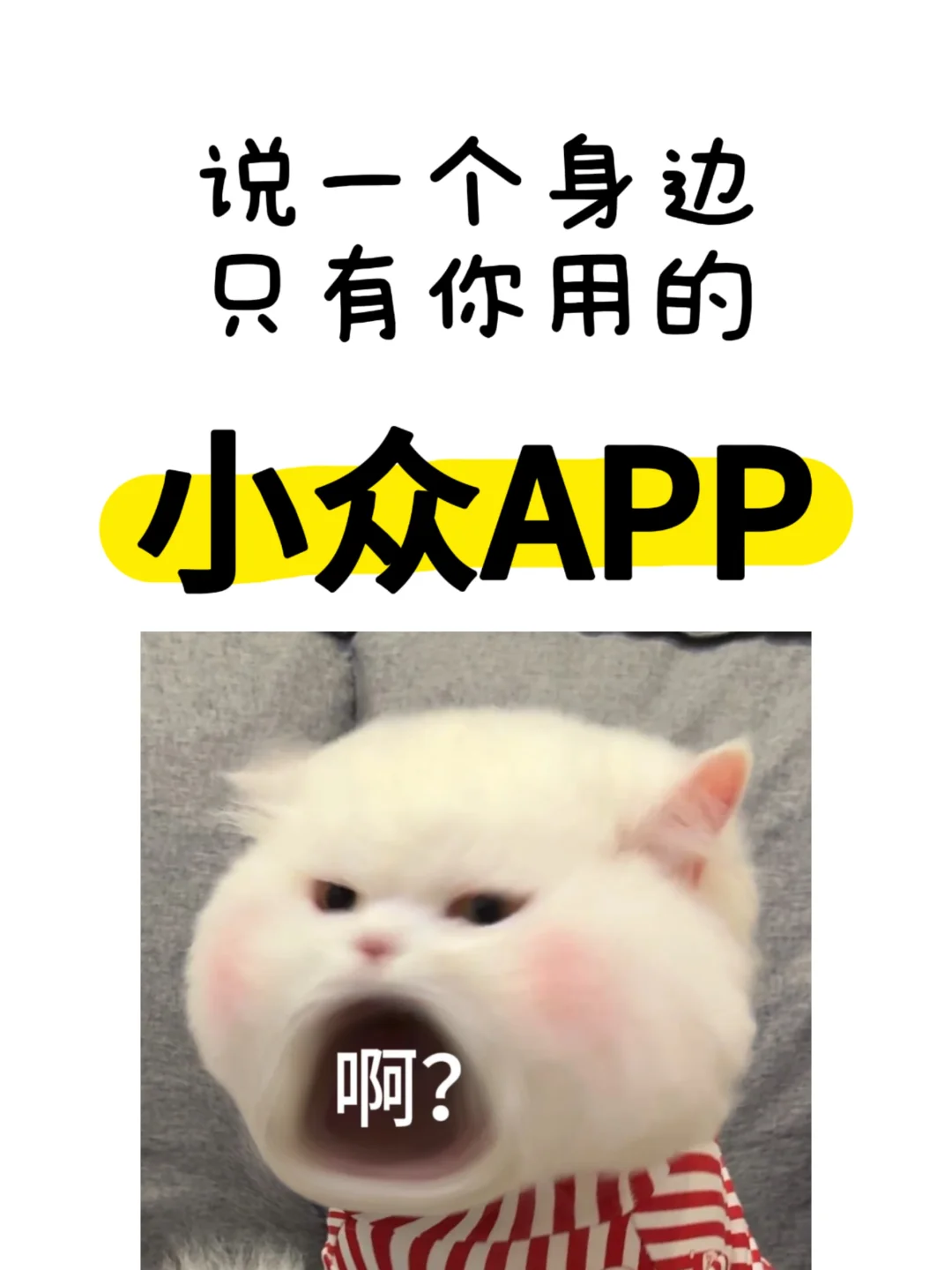 有没有身边只有你在用的小众APP🤔