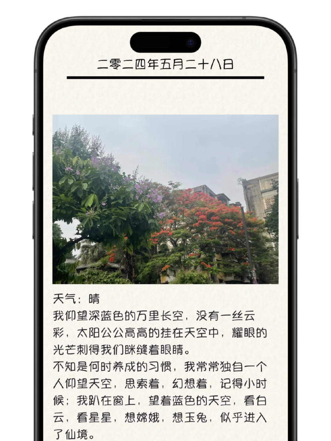 一起用素记记录生活吧，在这明媚的夏天☀️