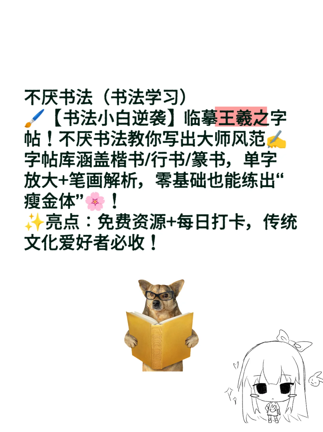 每天一个实用的app