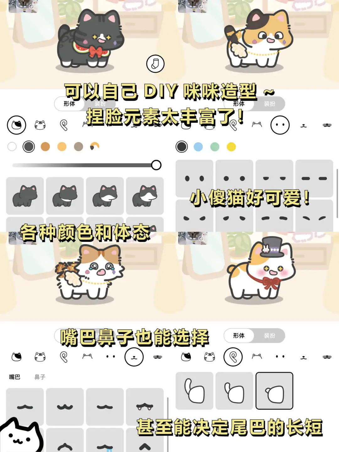 打工暂停❗请选择你的猫猫🐈