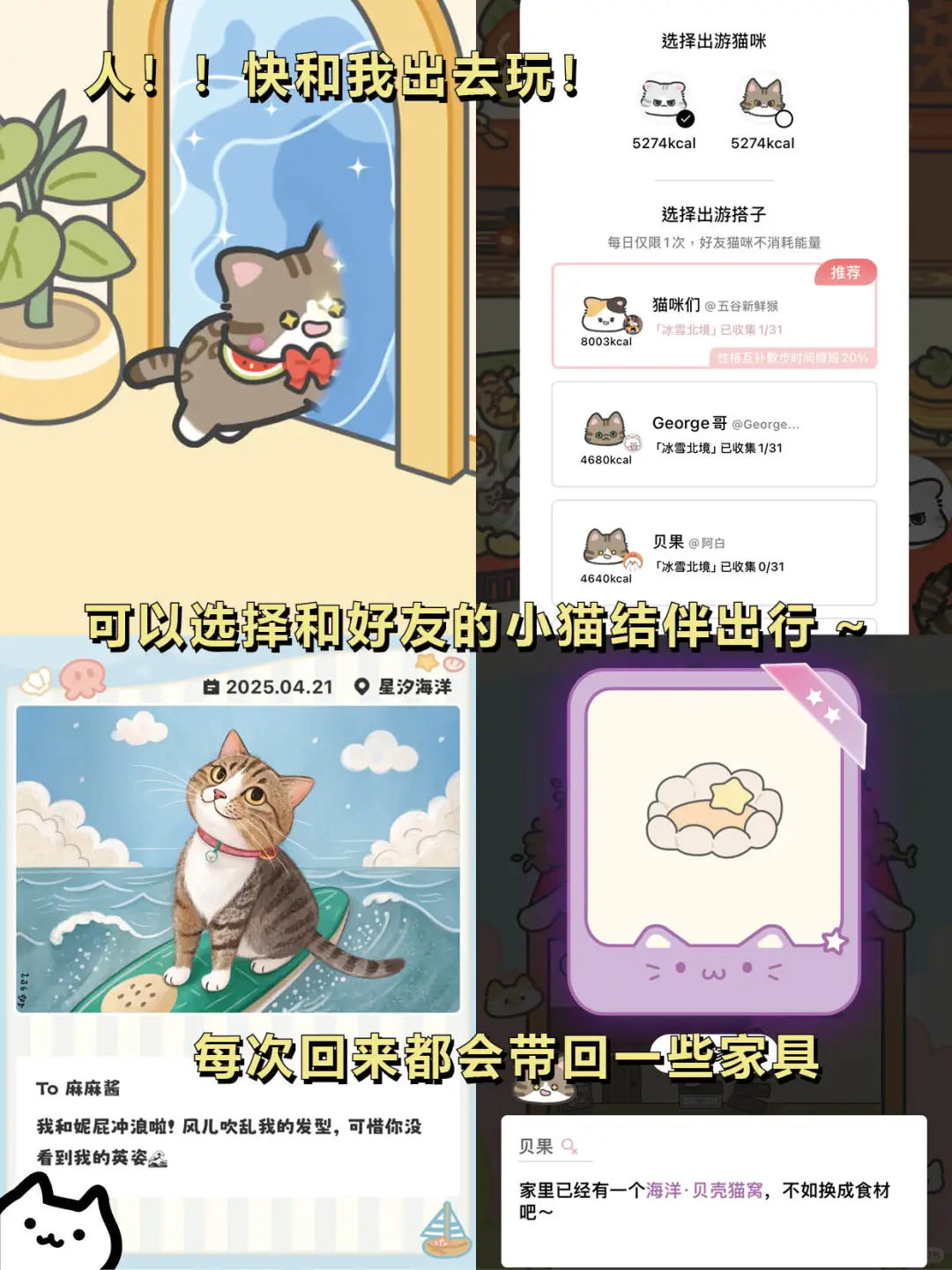 打工暂停❗请选择你的猫猫🐈