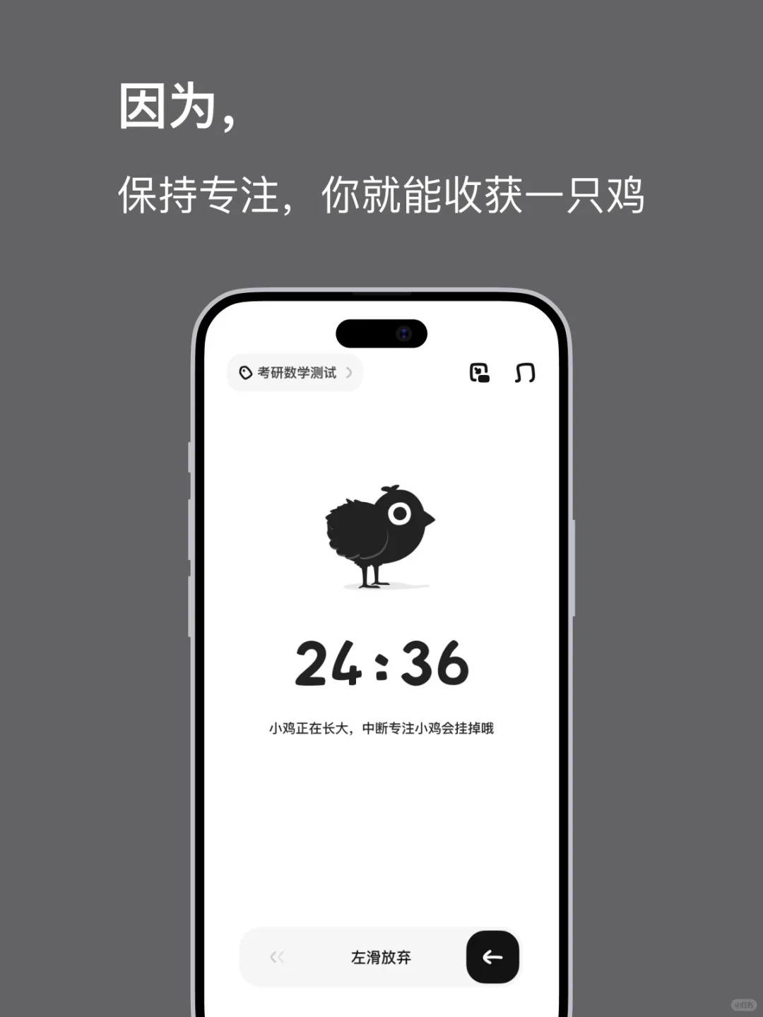 考研党发现的时间管理利器！forest平替！！