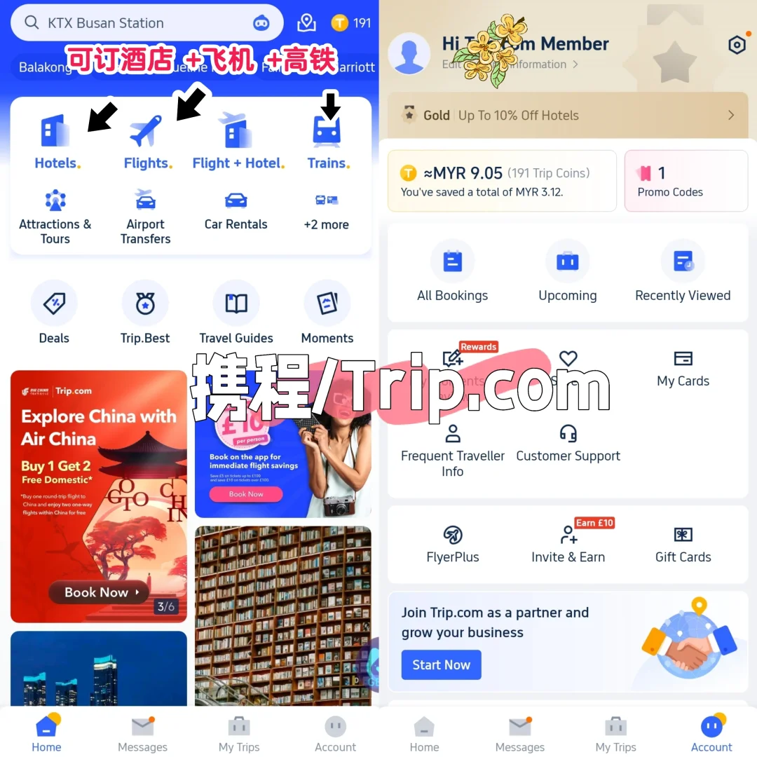 🇲🇾🇨🇳到中国旅游下载的软件-P2