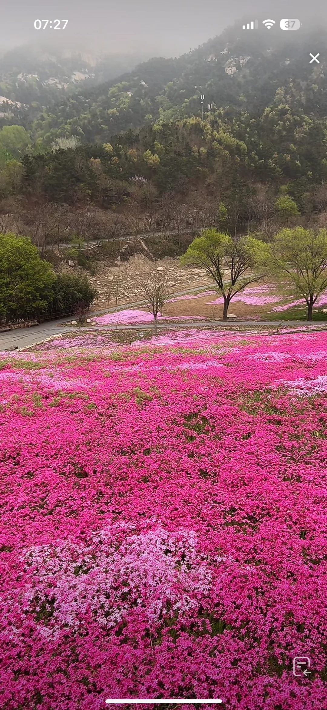 卸载《今日头条》55天后终于找到新的资讯APP