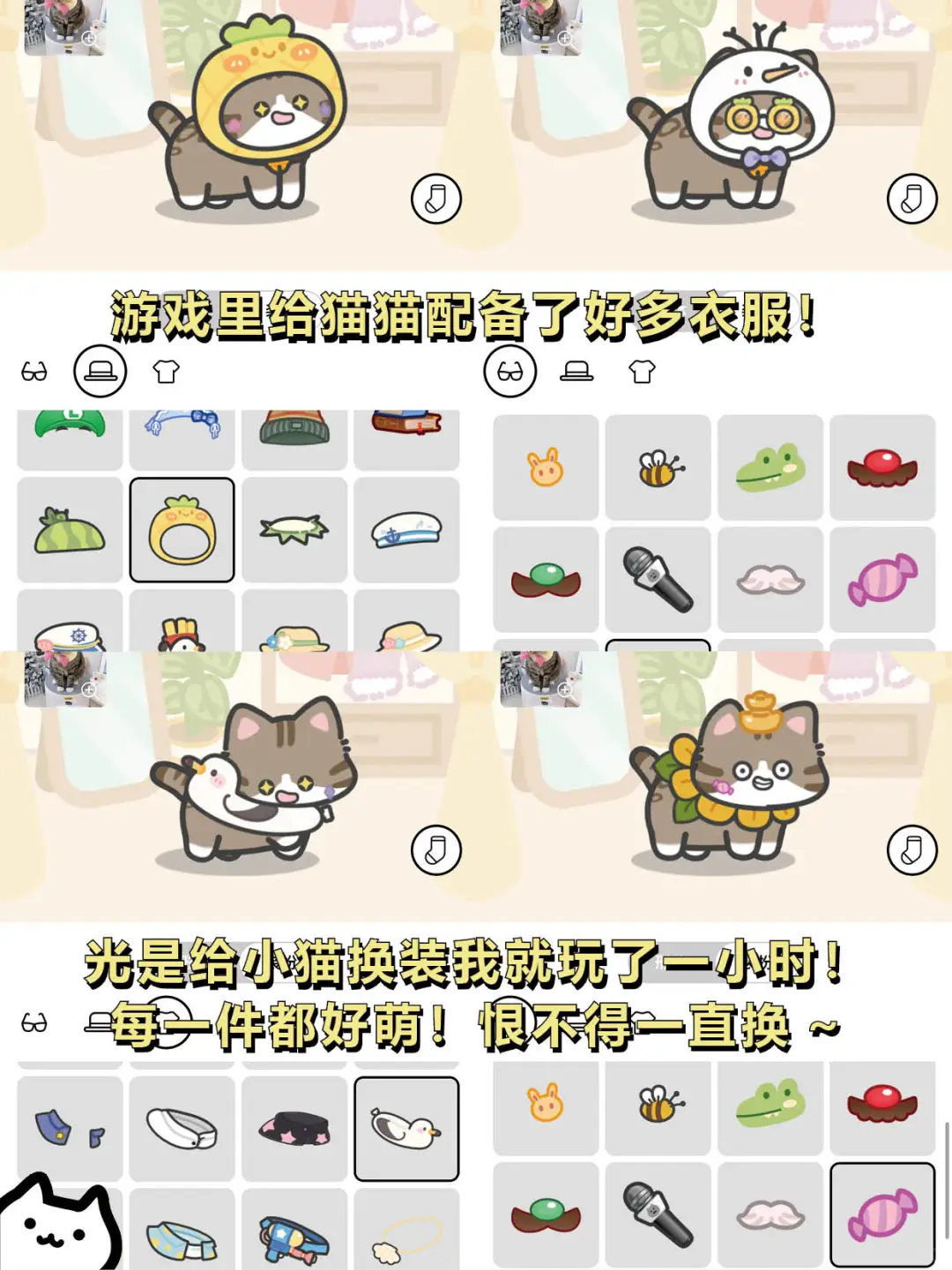 打工暂停❗请选择你的猫猫🐈