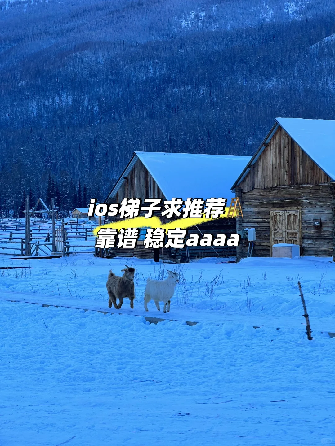 推荐个ios梯子啊啊啊