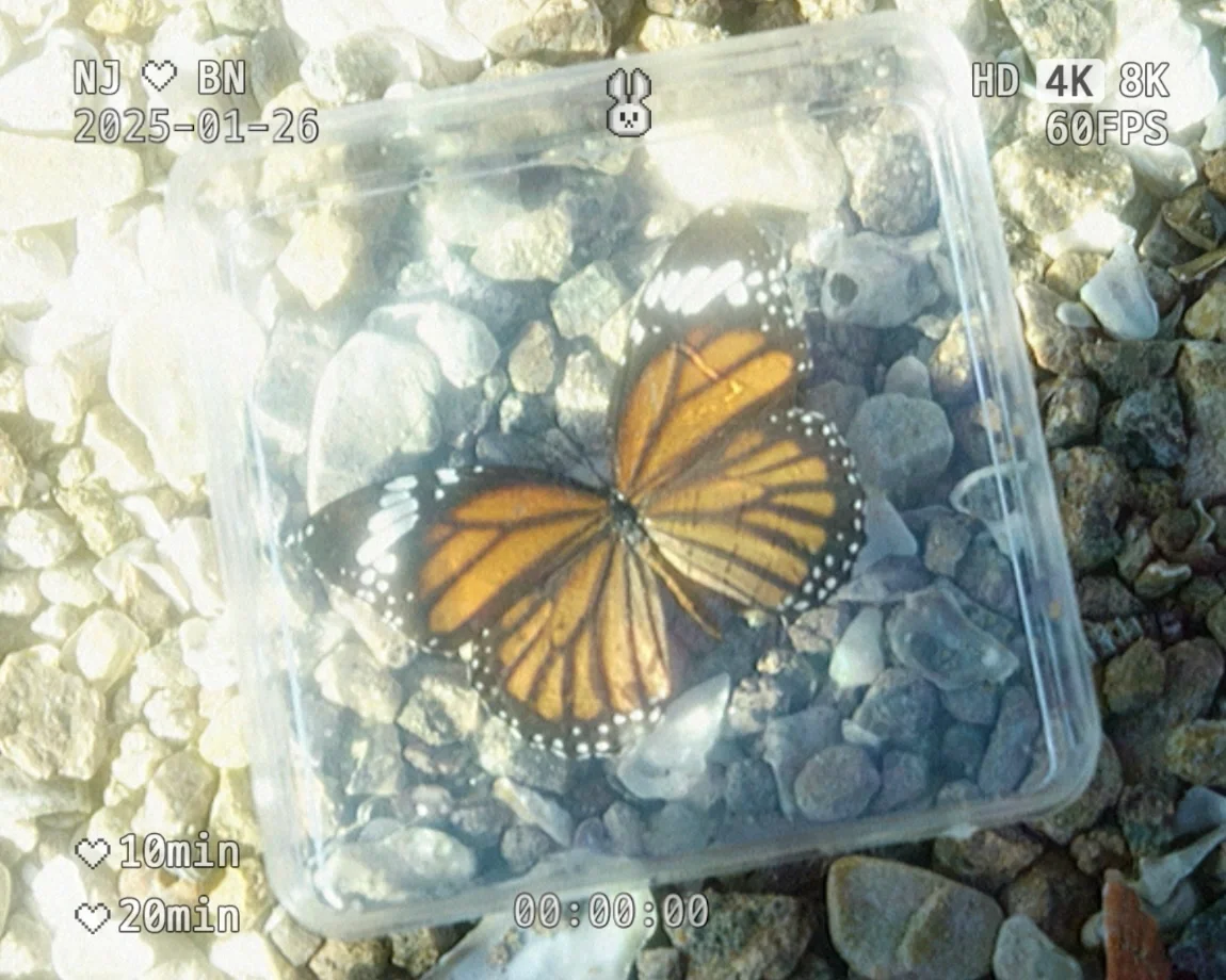 调色app｜Lofi低像素/DV質感打造🫧