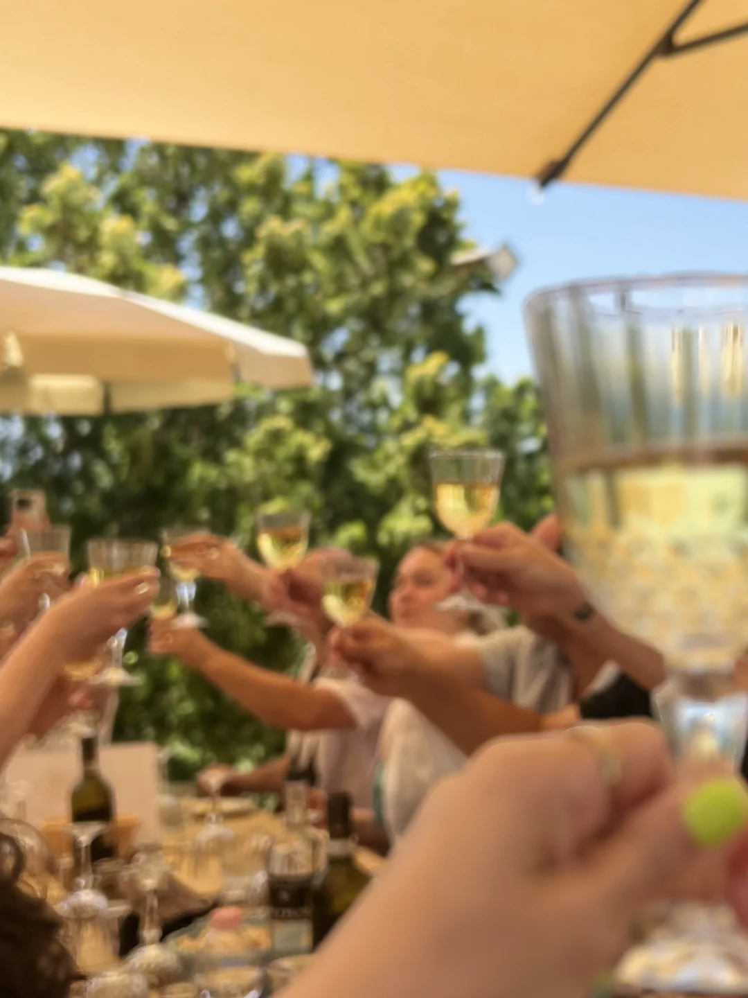 🇮🇹下好这12款app,你在意大利横着走🤩