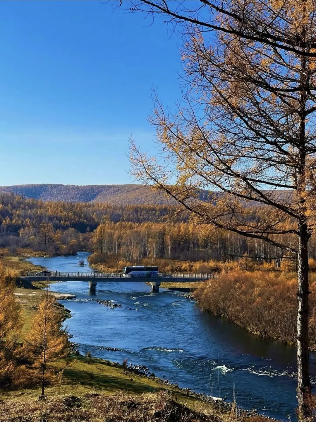 让我看看谁还敢说dazz相机不会用 不好用?