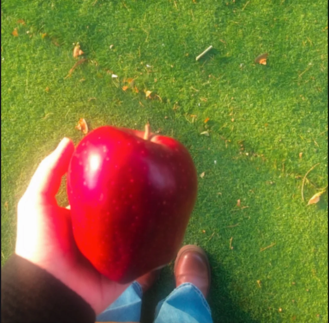 调色app｜Lofi低像素/DV質感打造🫧