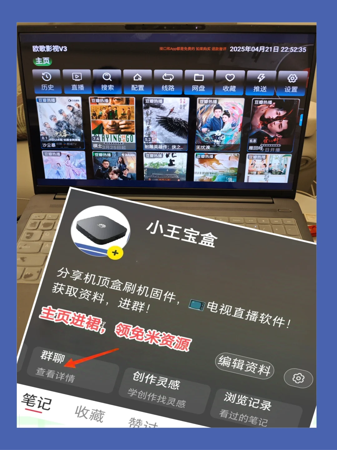 今日野草助手最新组合码推荐