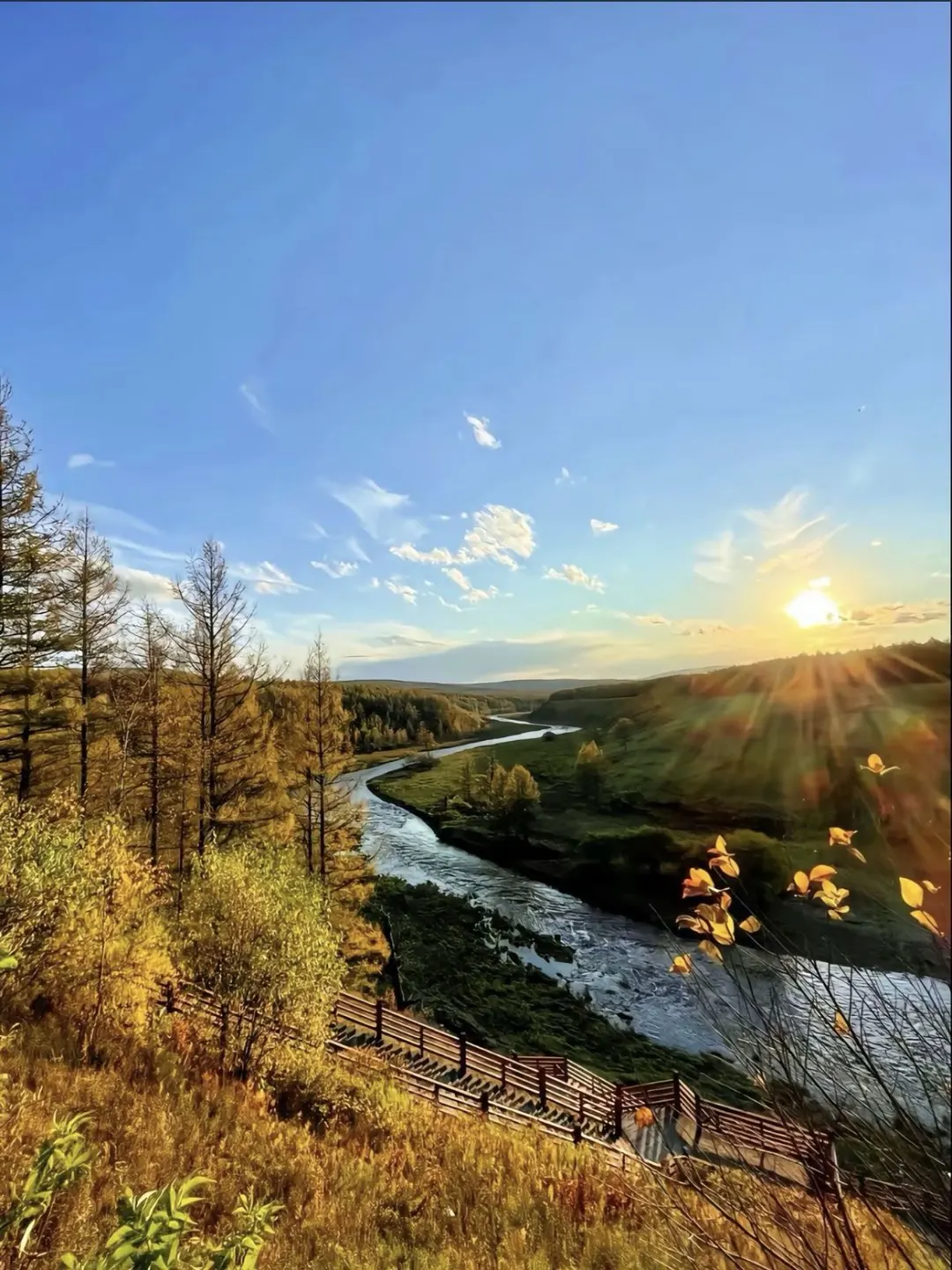 让我看看谁还敢说dazz相机不会用 不好用?