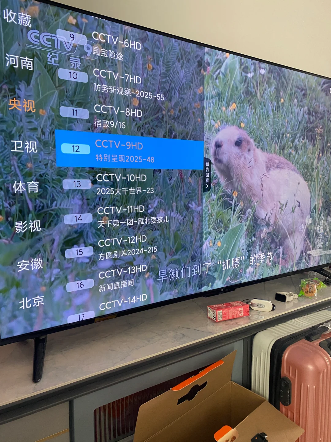 新的智能电视无需在加个电视盒子看直播