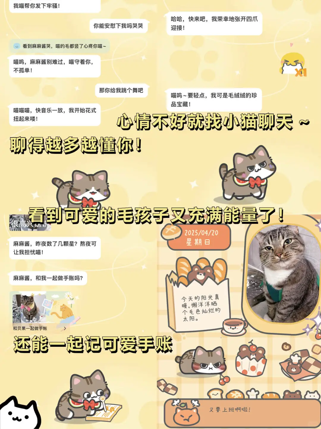 打工暂停❗请选择你的猫猫🐈