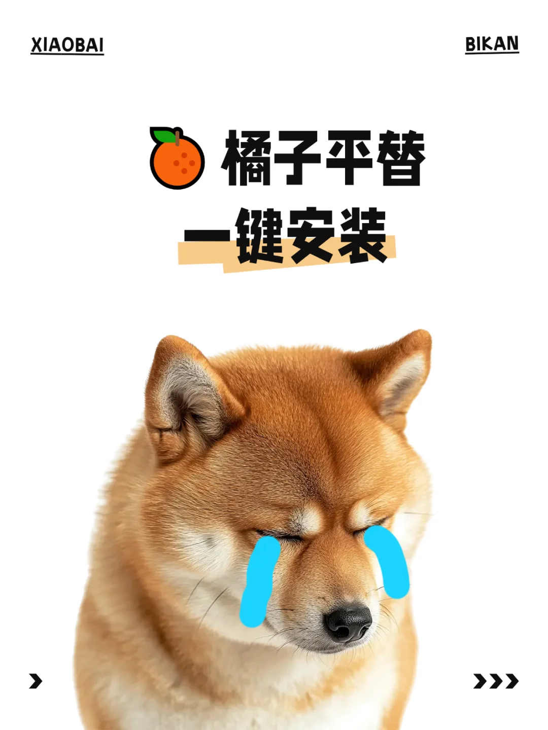 追剧党必备手机app！安卓/苹果/鸿蒙全支持