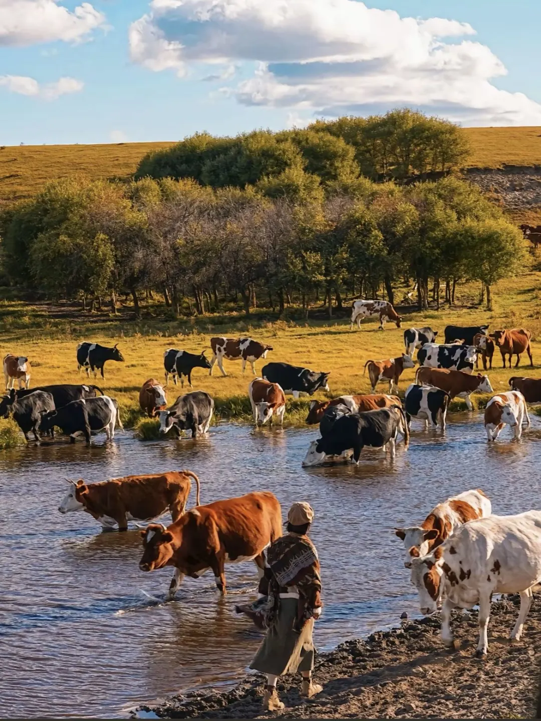 让我看看谁还敢说dazz相机不会用 不好用?