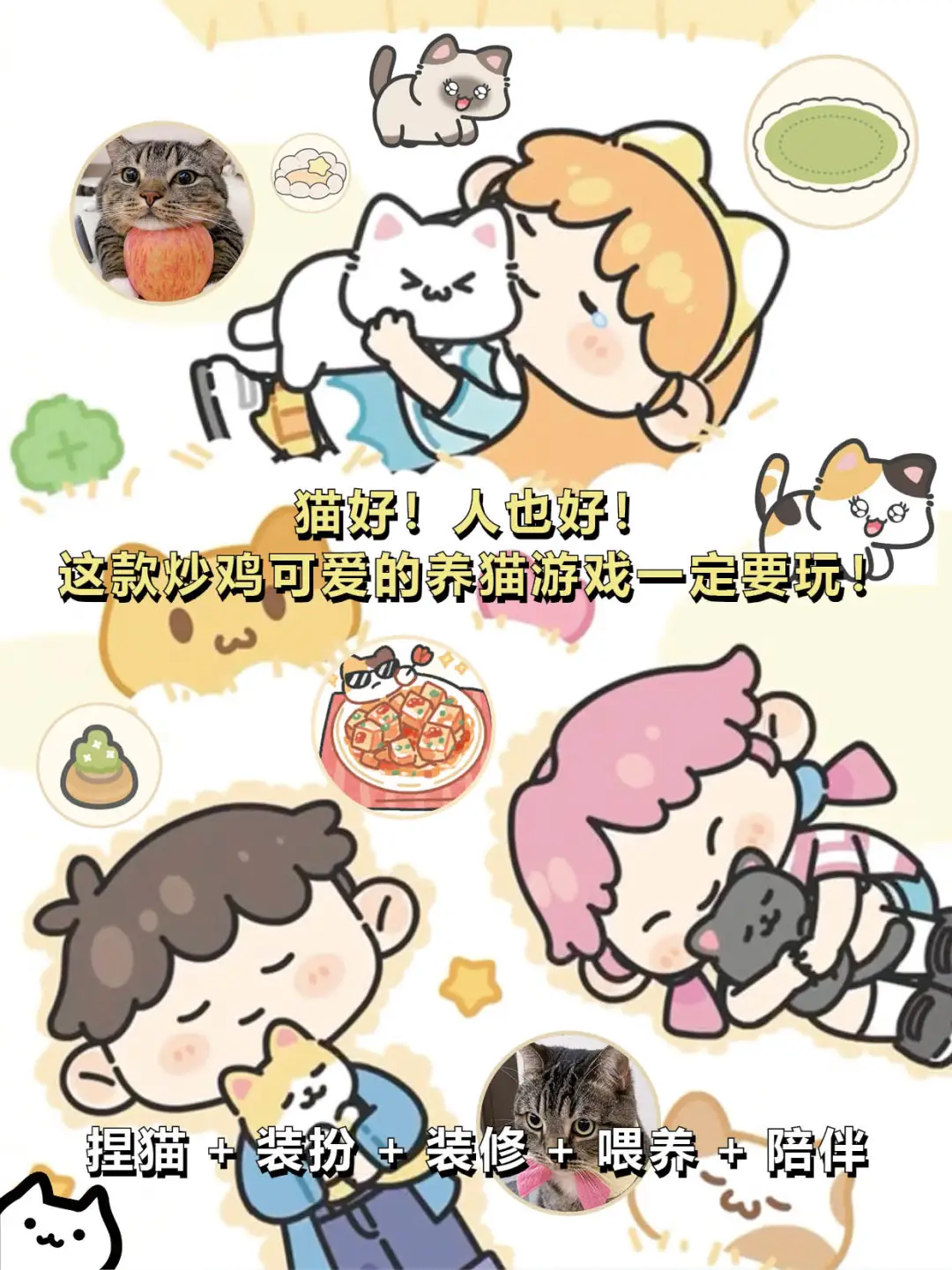 打工暂停❗请选择你的猫猫🐈