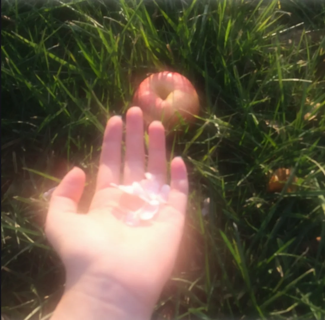 调色app｜Lofi低像素/DV質感打造🫧