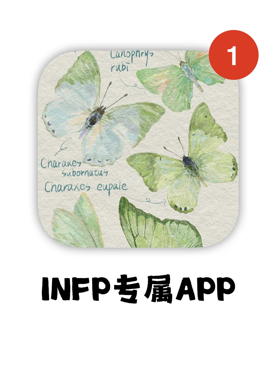 为infp碎碎念而生的app！