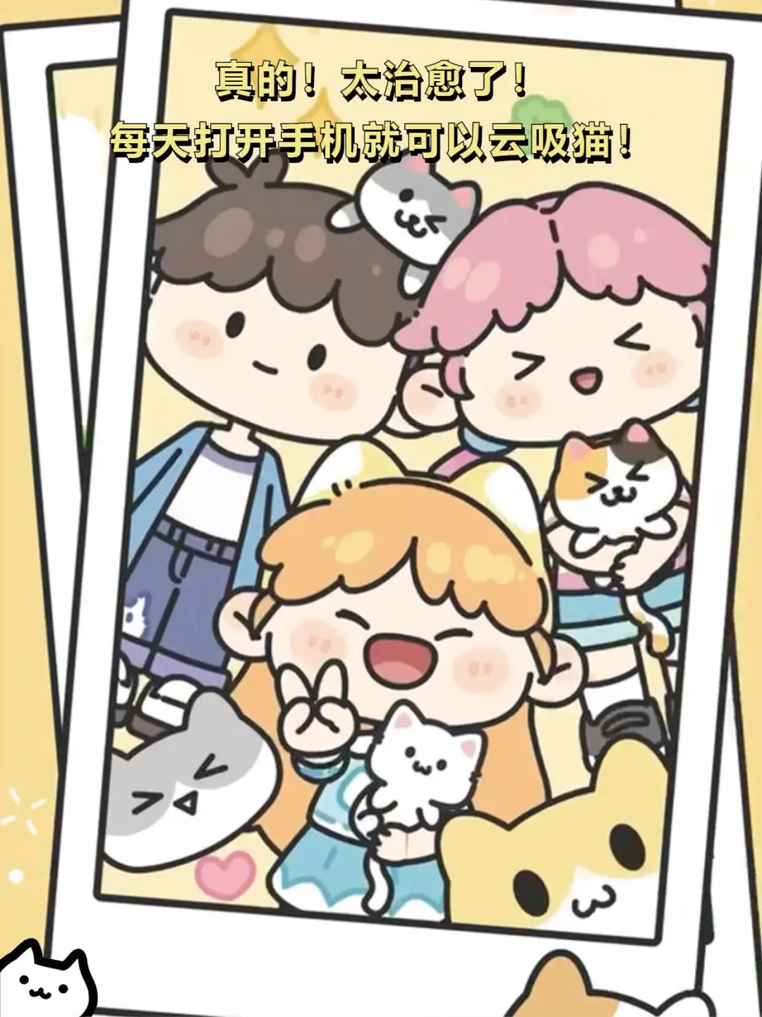 打工暂停❗请选择你的猫猫🐈