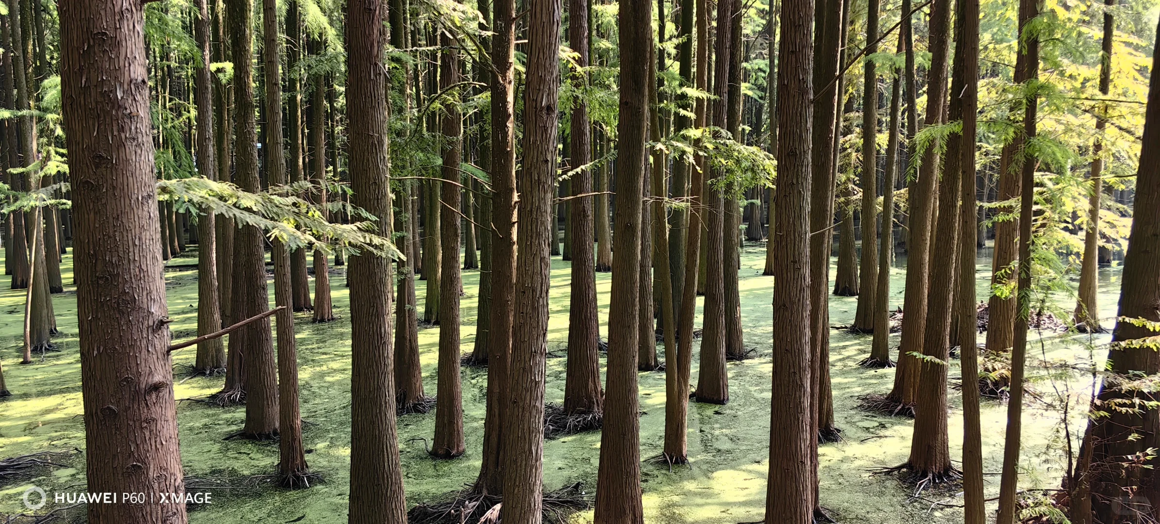 ToB的App怎么推广呀