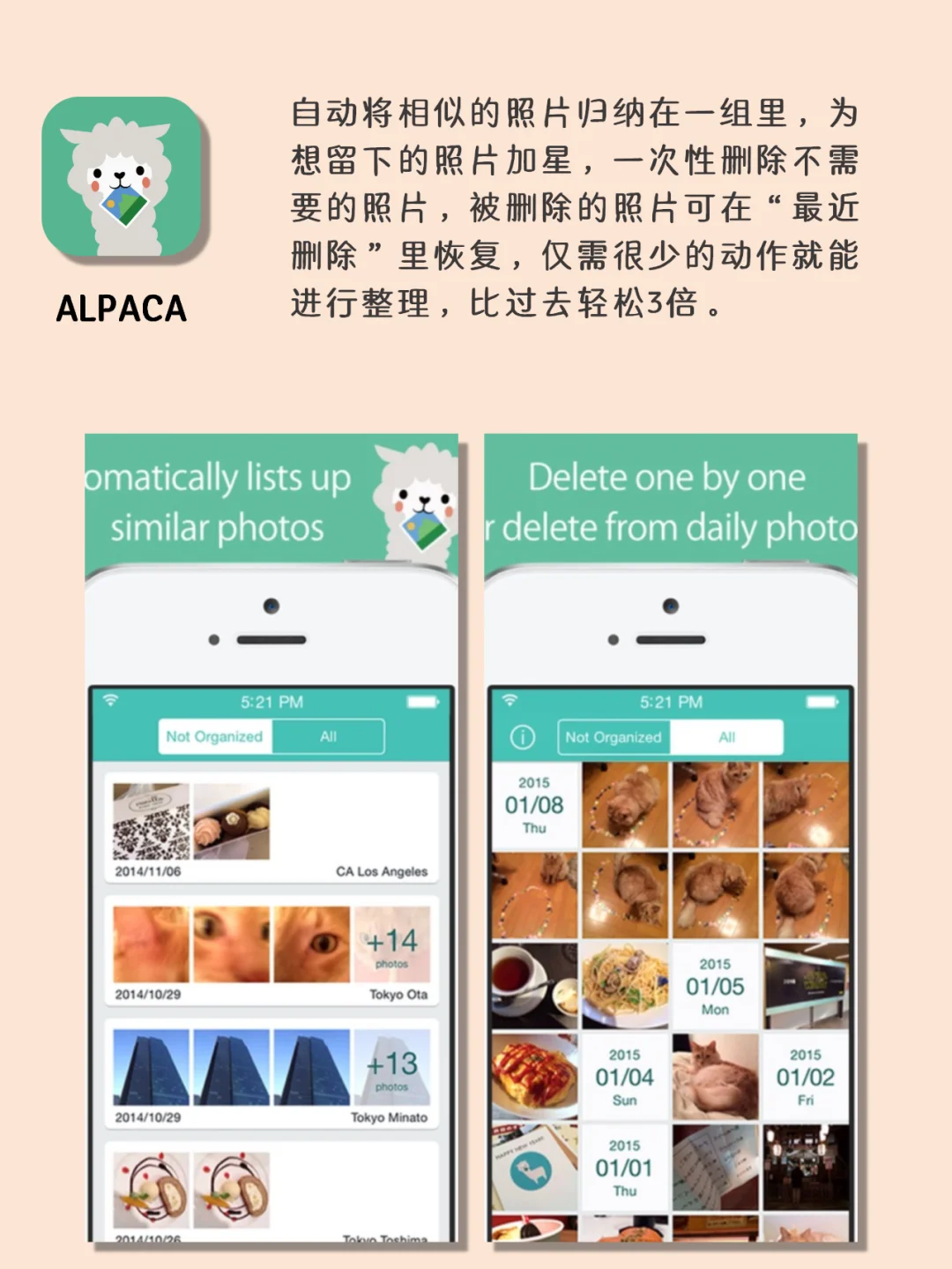 使用多年积攒下的既高级又宝藏小众app