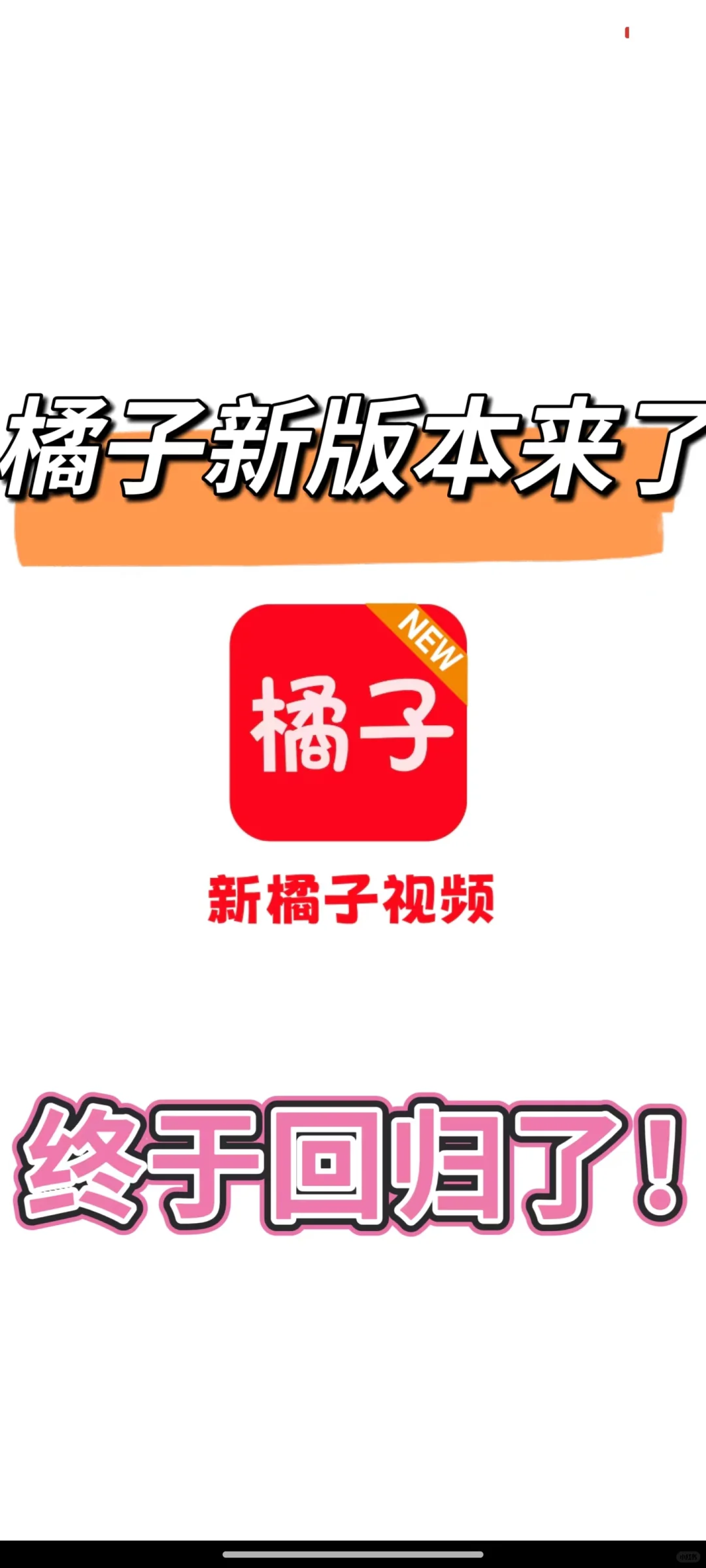 🤩家人们，橘子回来了