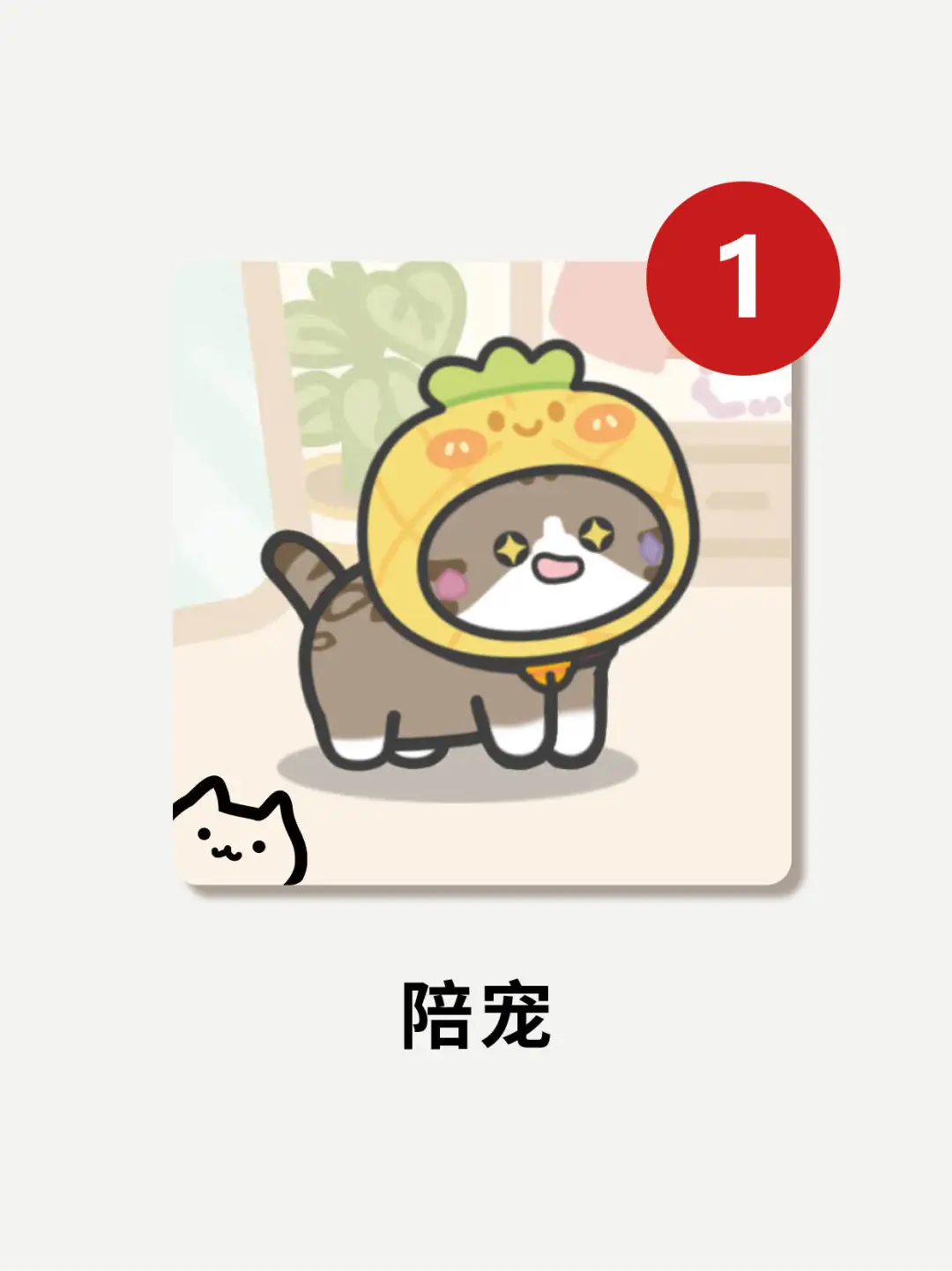 打工暂停❗请选择你的猫猫🐈