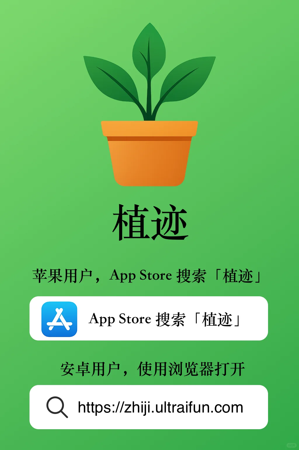 🌱从植物杀手到专门开发植物记录管理App