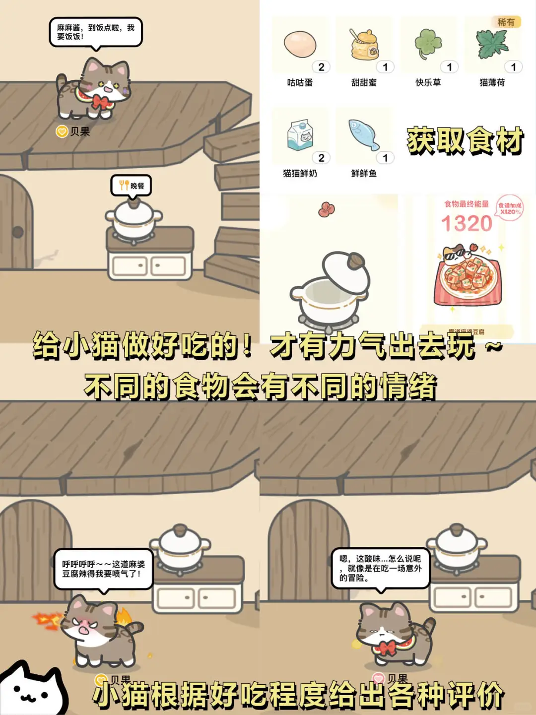 打工暂停❗请选择你的猫猫🐈