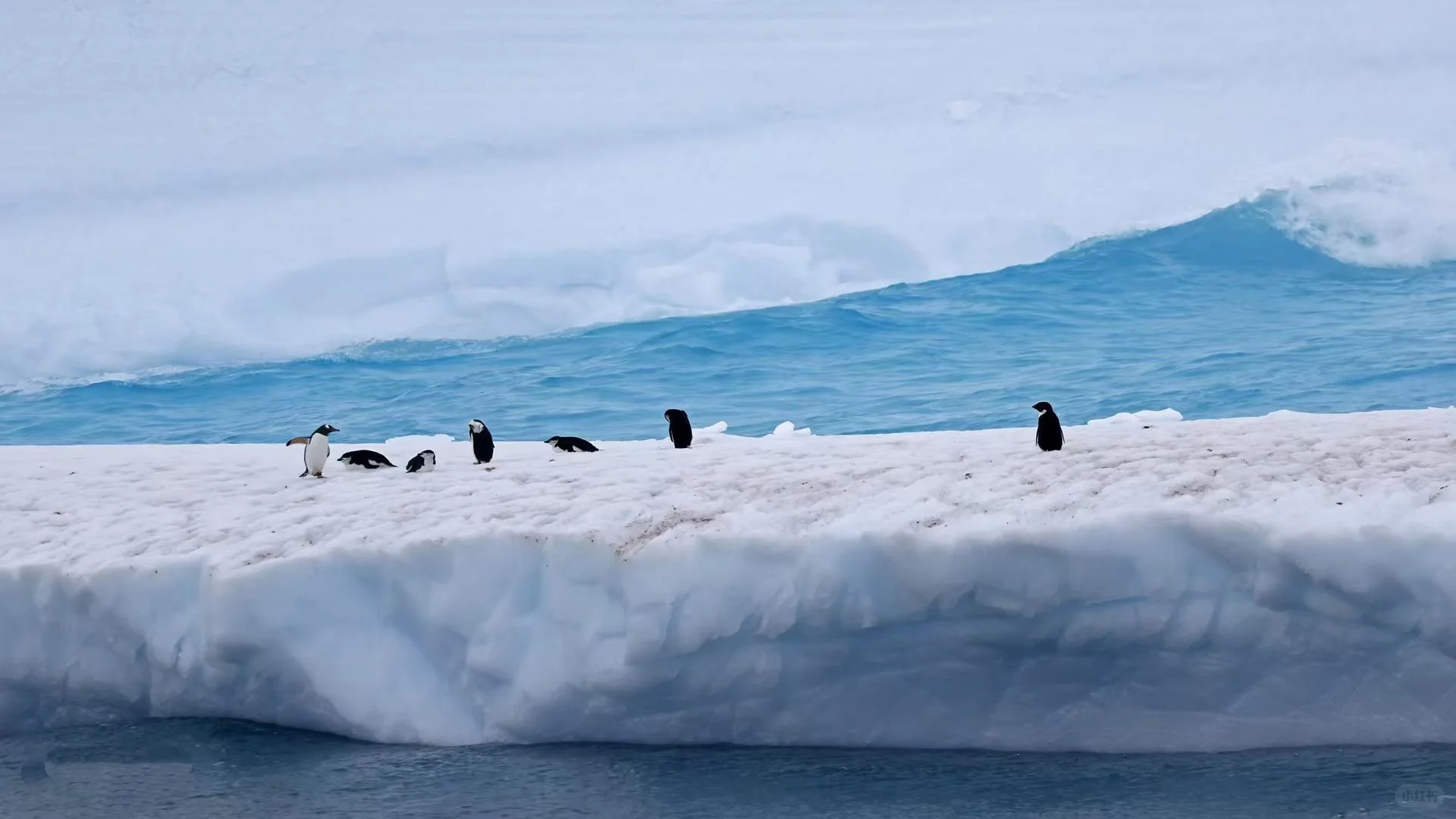 DeepSeek爆火，我为什么不直接让它帮我写文