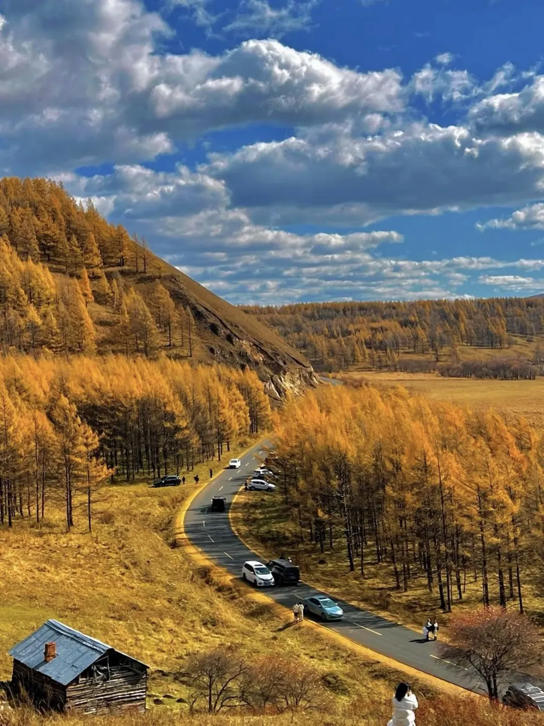 让我看看谁还敢说dazz相机不会用 不好用?