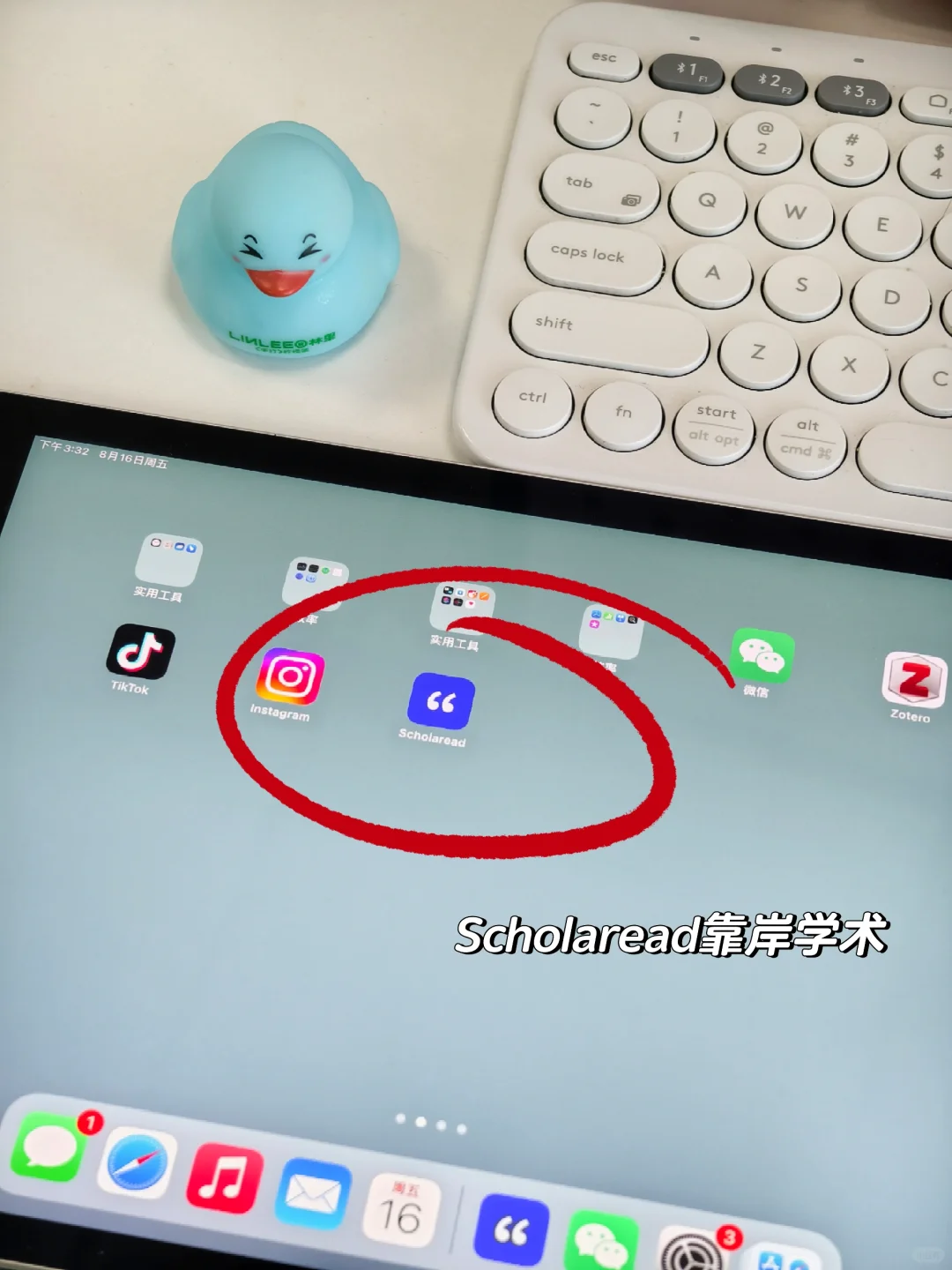 被问了n遍的软件😭😭